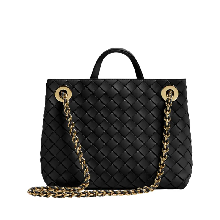 Bottega Veneta Andiamo Small Leather Chain Shoulder Bag | The DeLaMode